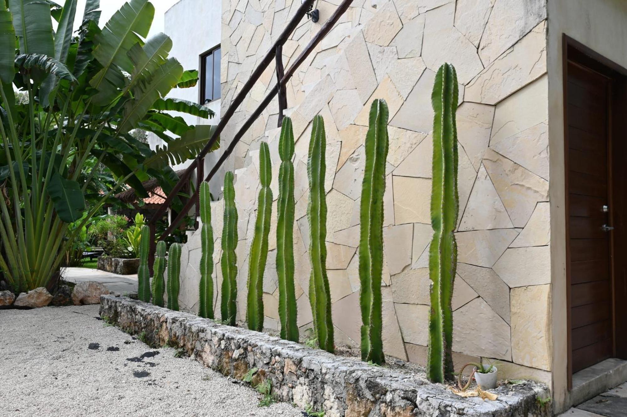 Casa Cactus Buenavista Bacalar