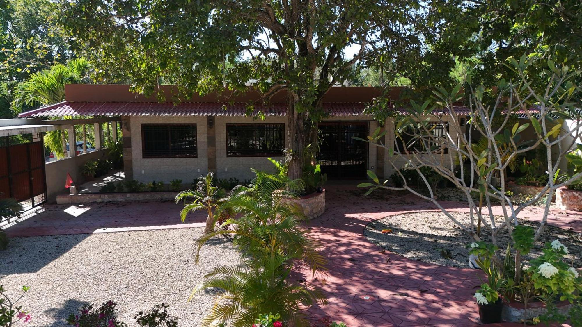 Casa Tatich *