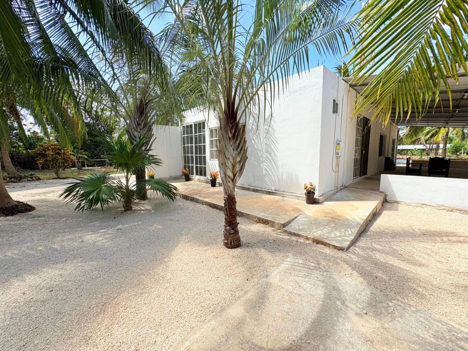 Casa Limon *