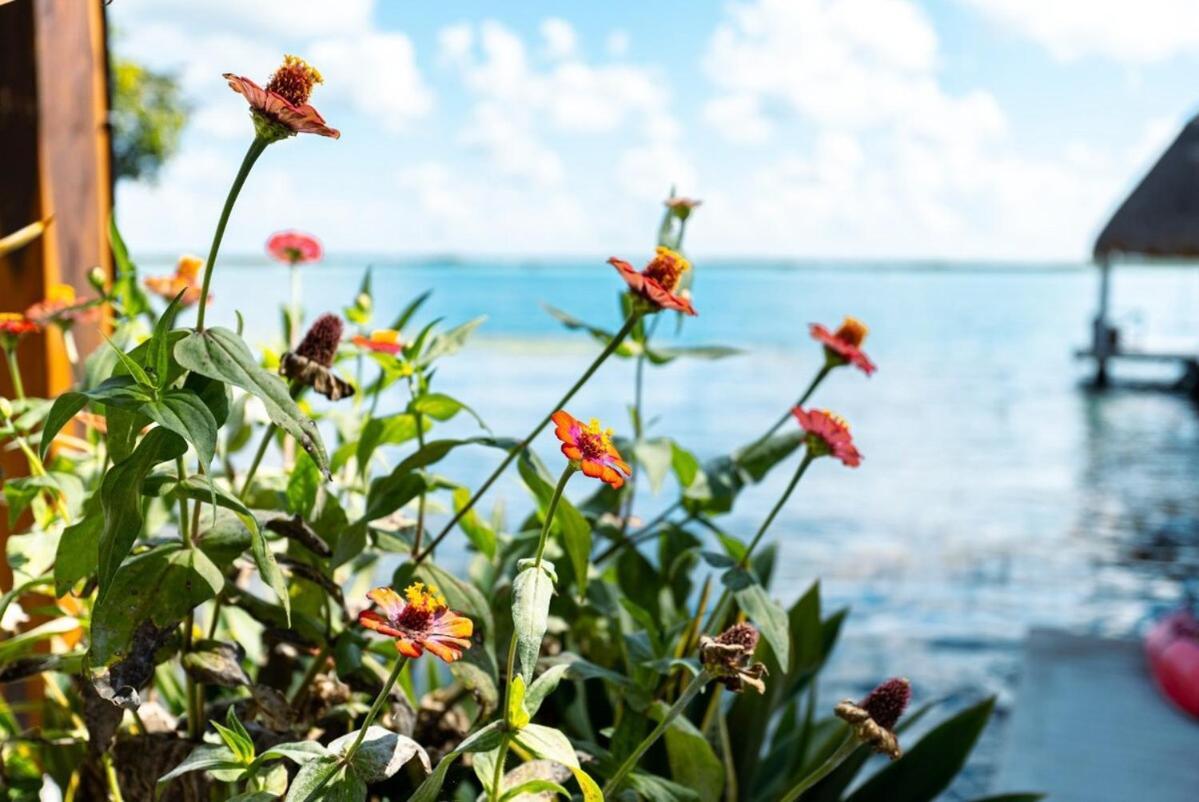 Villa Casa Frente A La Laguna De Bacalar *