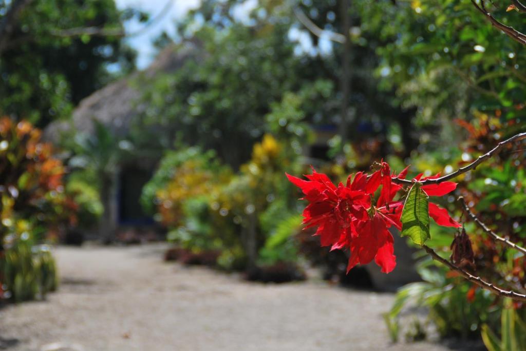 Ecotucan Bacalar