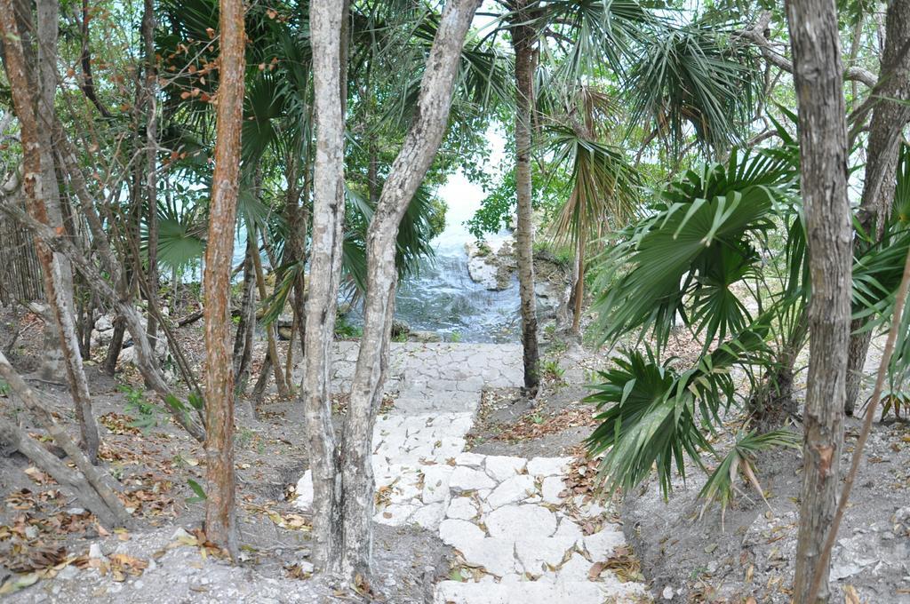 Casa Mirador Holiday home