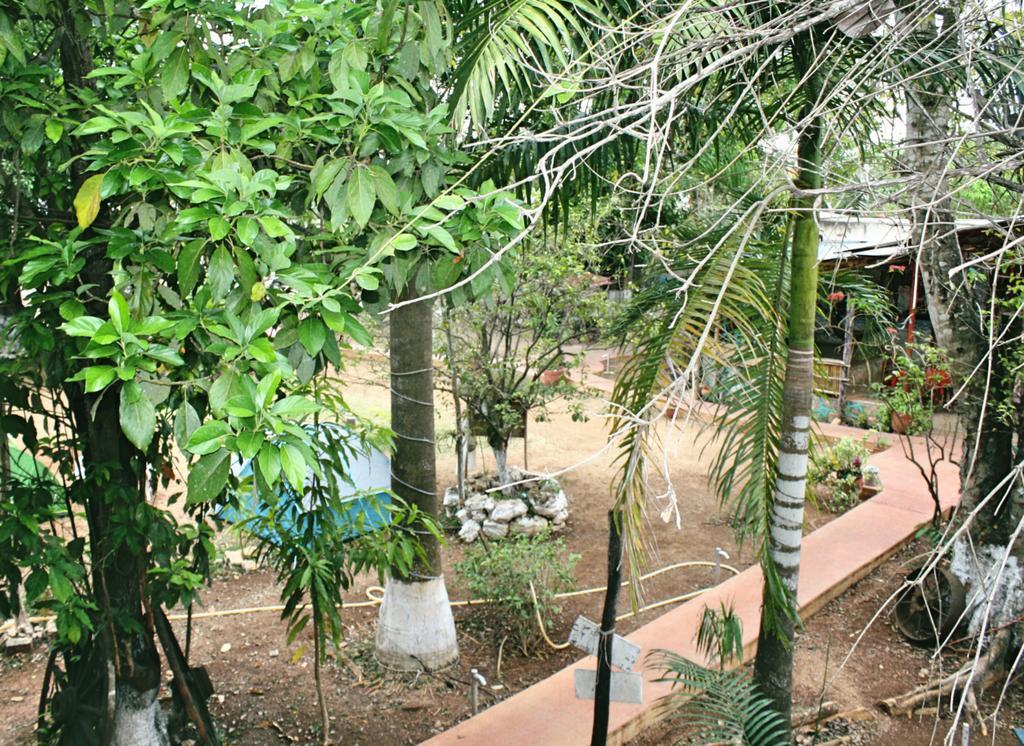 Yaxche Centro Y * Bacalar