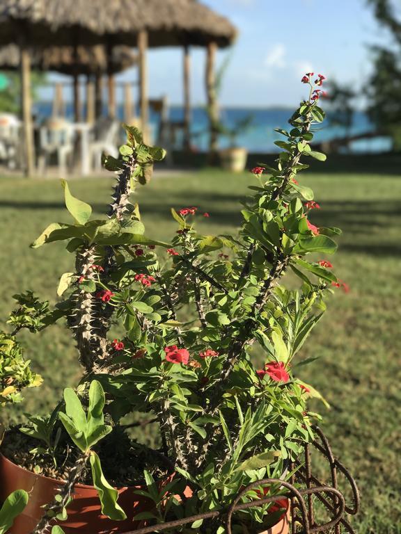 Camping Ecocamping Yaxche