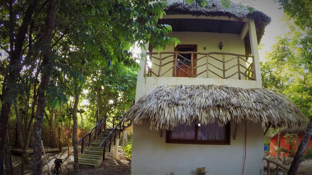 Guest house La Casa De Los Ninos Del Arbol