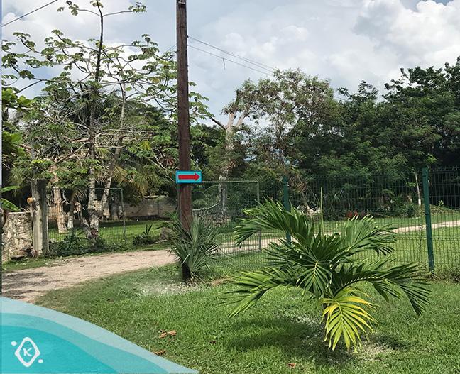Karalv * Bacalar