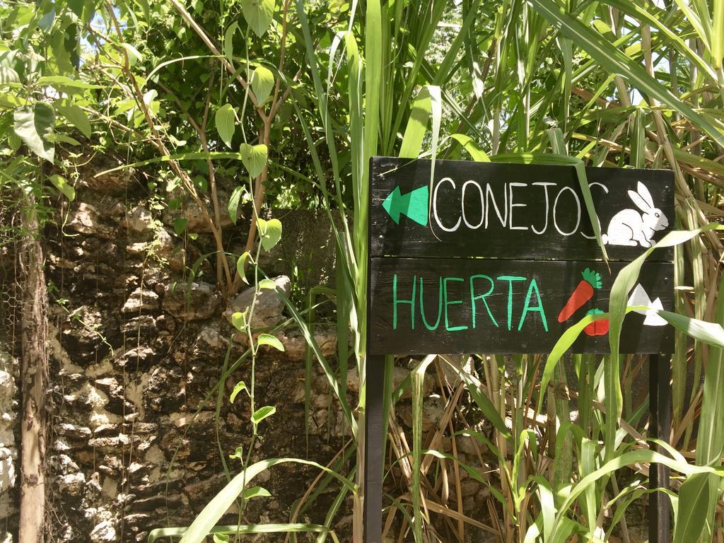 Yaxche Centro Y *