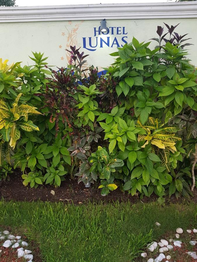 Hotel Lunas *