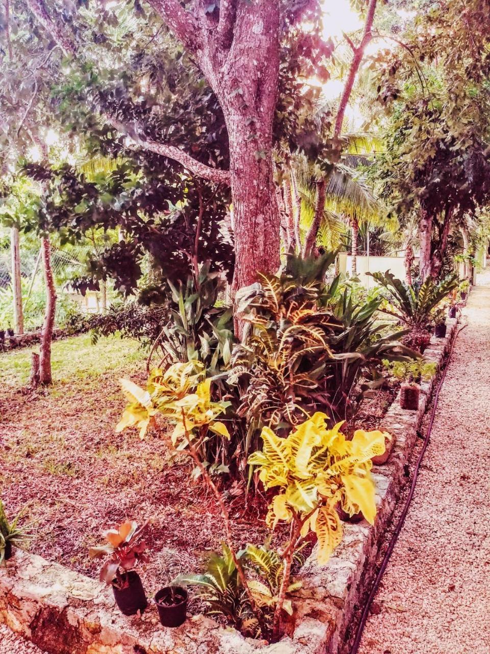 El Roble Nature & Lagoon Hotel