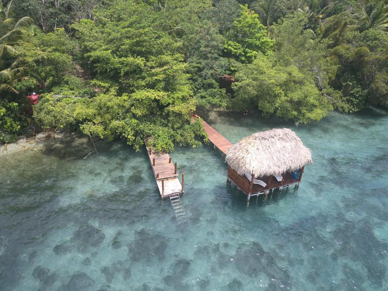Ecotucan Bacalar