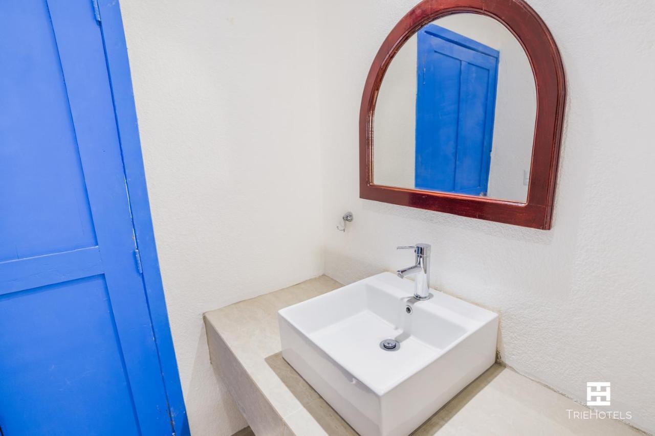 Hotel Blue Matisse