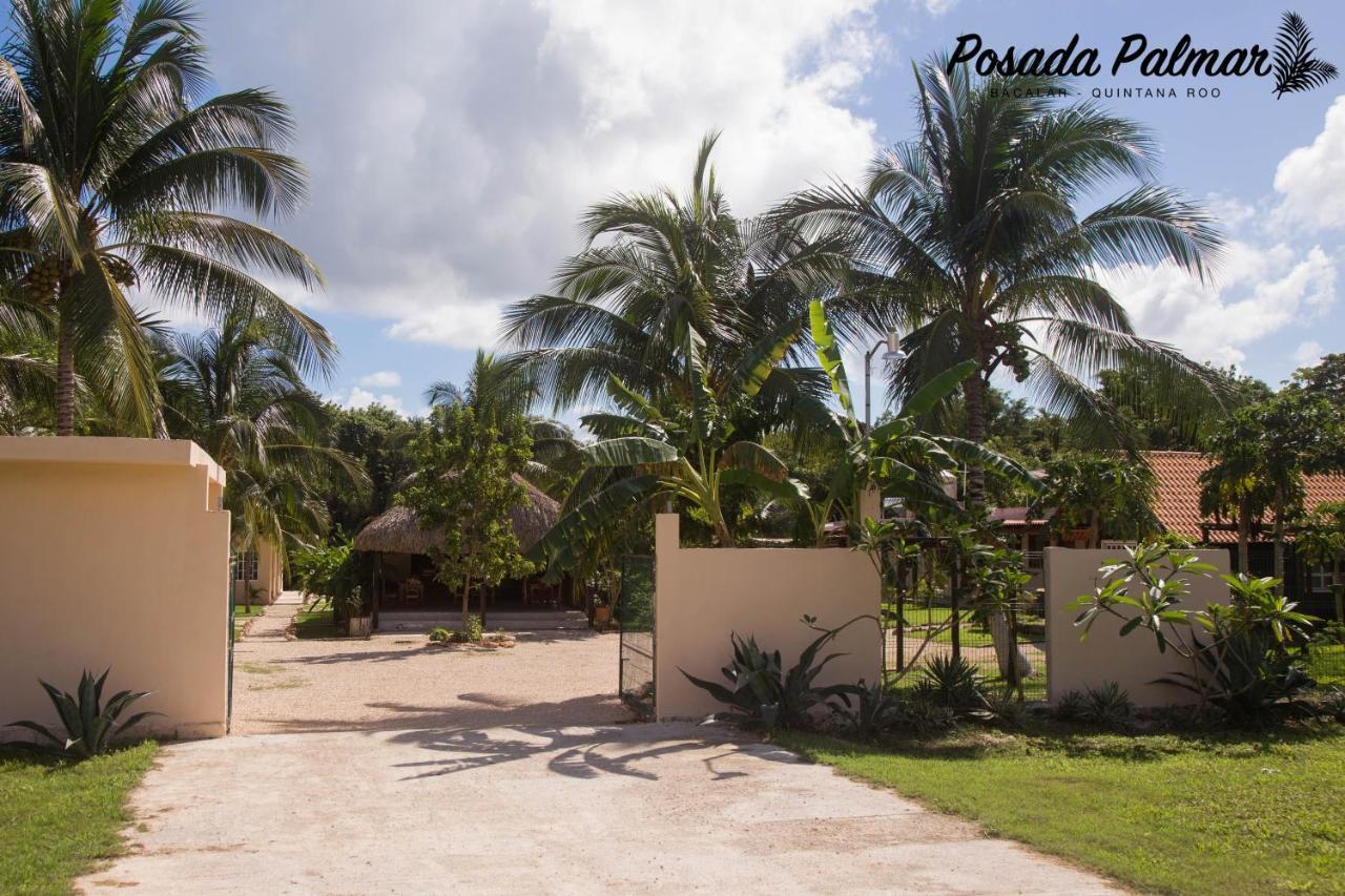 Palmar 2*