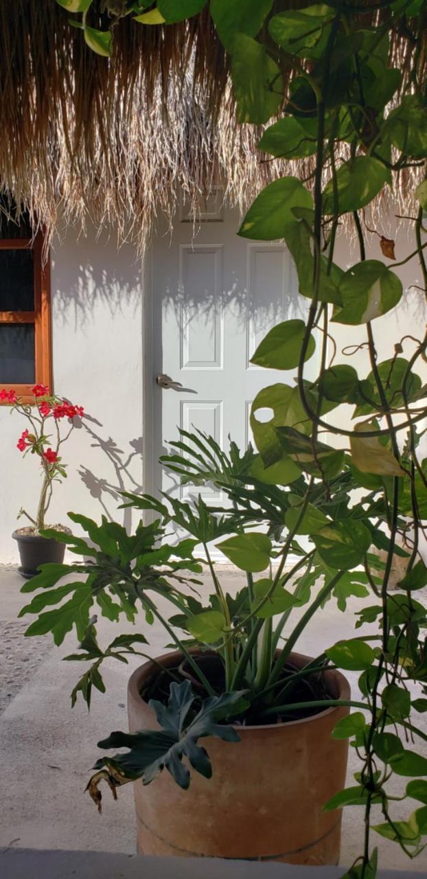 Poza Clara Sanctuary Hotel