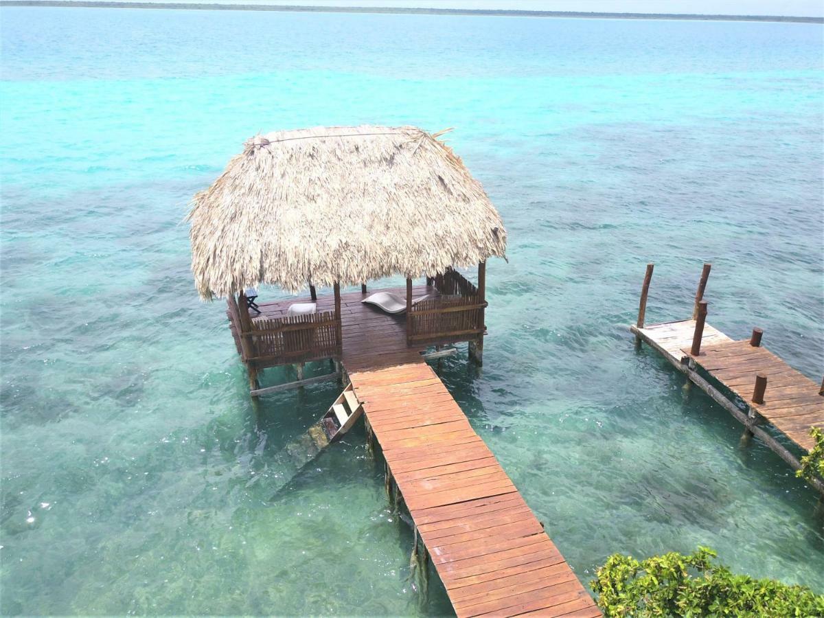 Ecotucan 3*