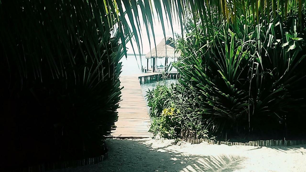 Сasa de vacaciones Casa Laguna De Jade *