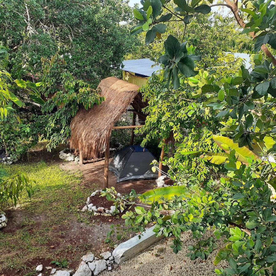Bacalar Camping 