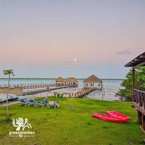 Pensión Green Monkey Bacalar