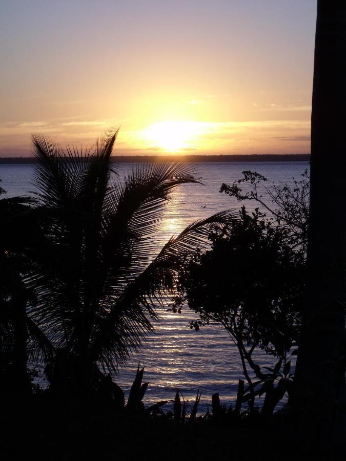 Agave-blue 3* Bacalar