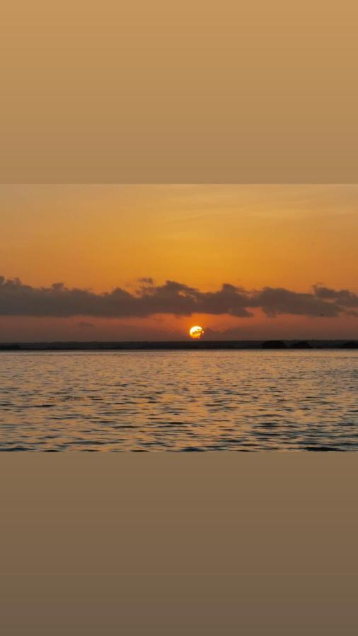 Bacalove * Bacalar