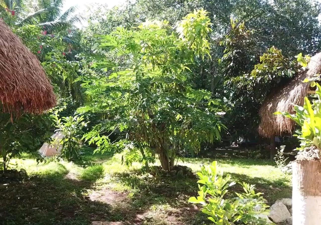 Bacalar Camping 