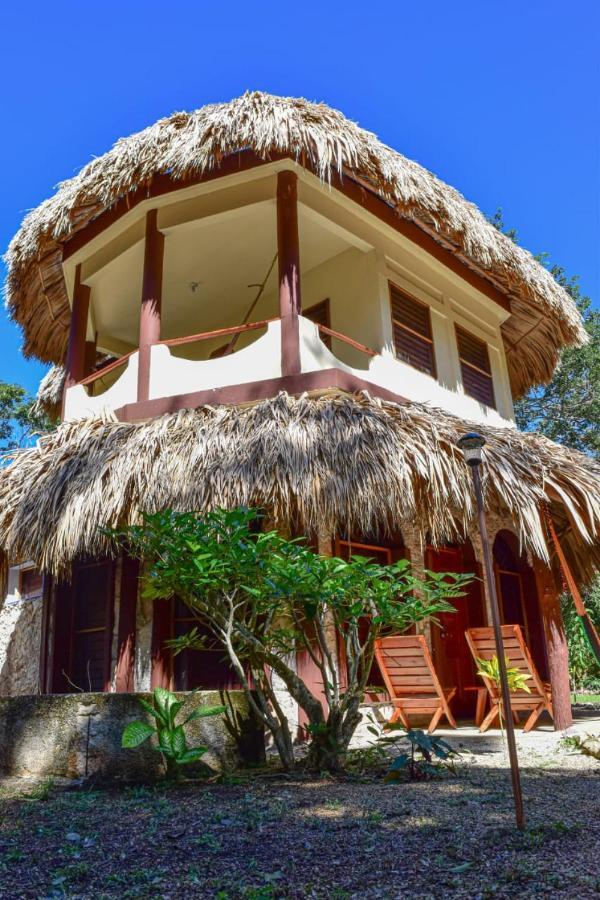 Ecotucan
