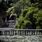 Lagoon Front Suite: Bikes & Kayaks!