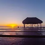 Mi kasa tu kasa