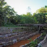La Casa De Los Ninos Del Arbol