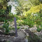 La Casa De Los Ninos Del Arbol