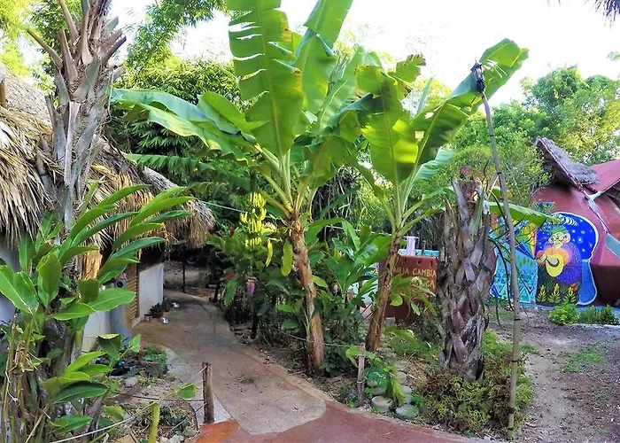La Casa De Los Ninos Del Arbol