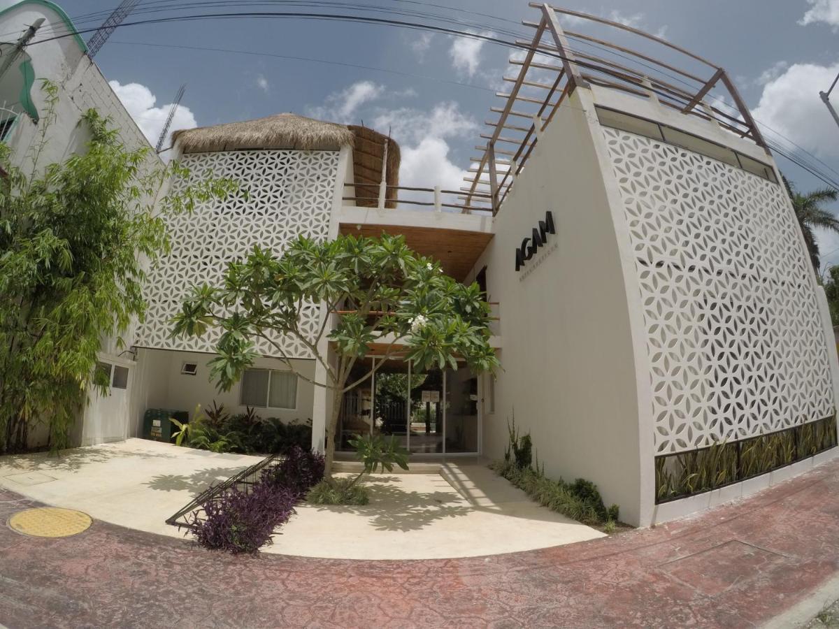 Hotel Agam 4*