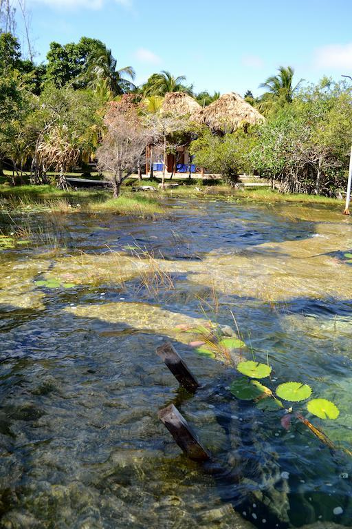 Casa Caracol Hotel 3*