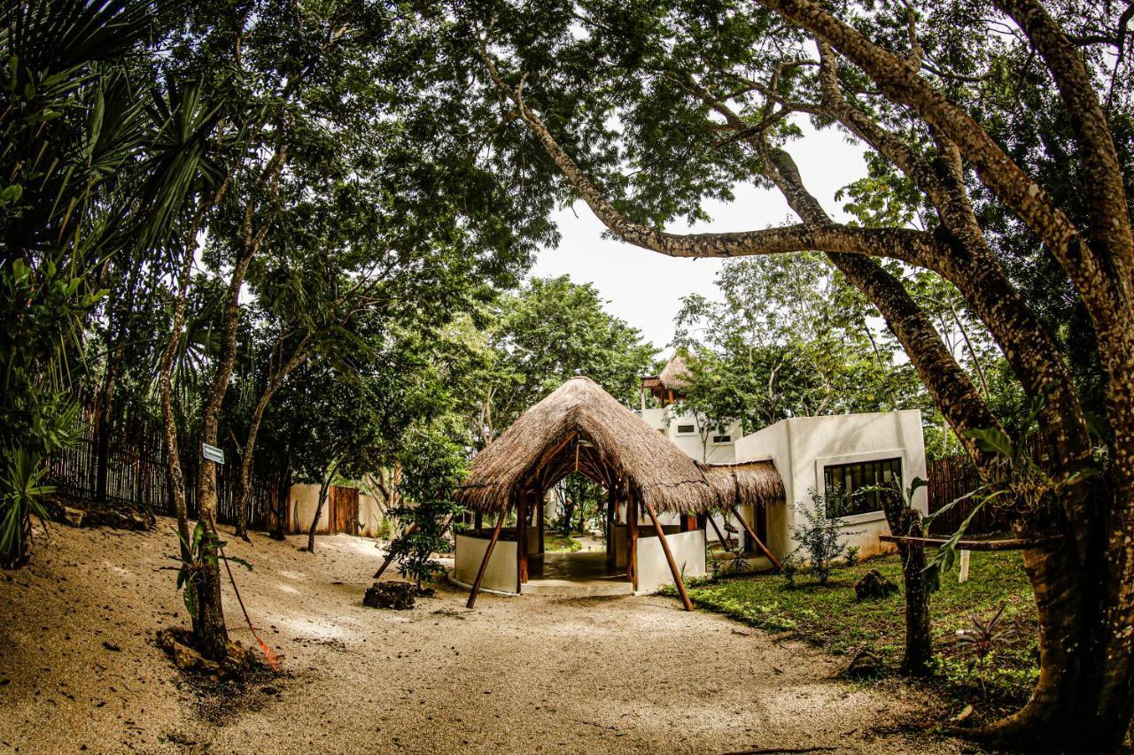Hotel Mi Kasa Tu Kasa 4*
