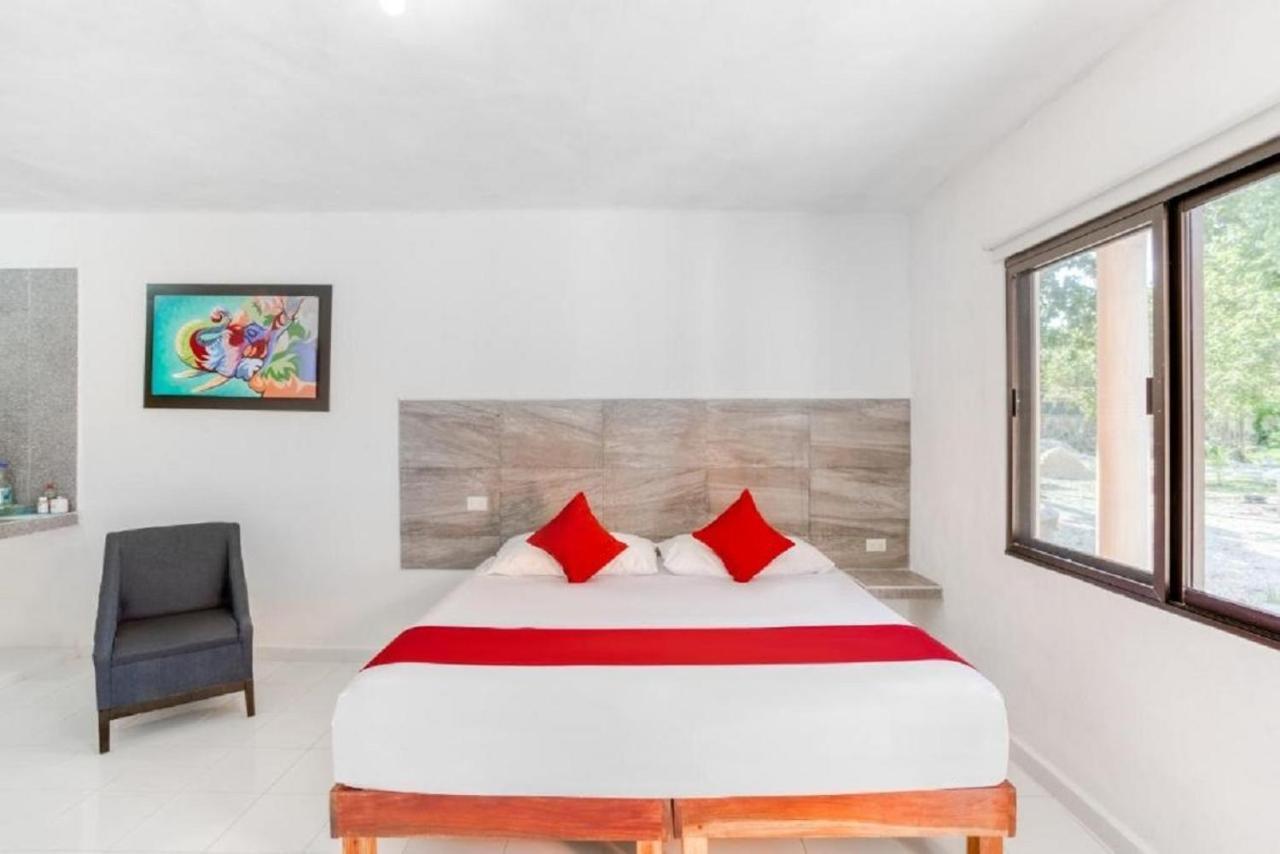 Casa Ariana Hotel 2*