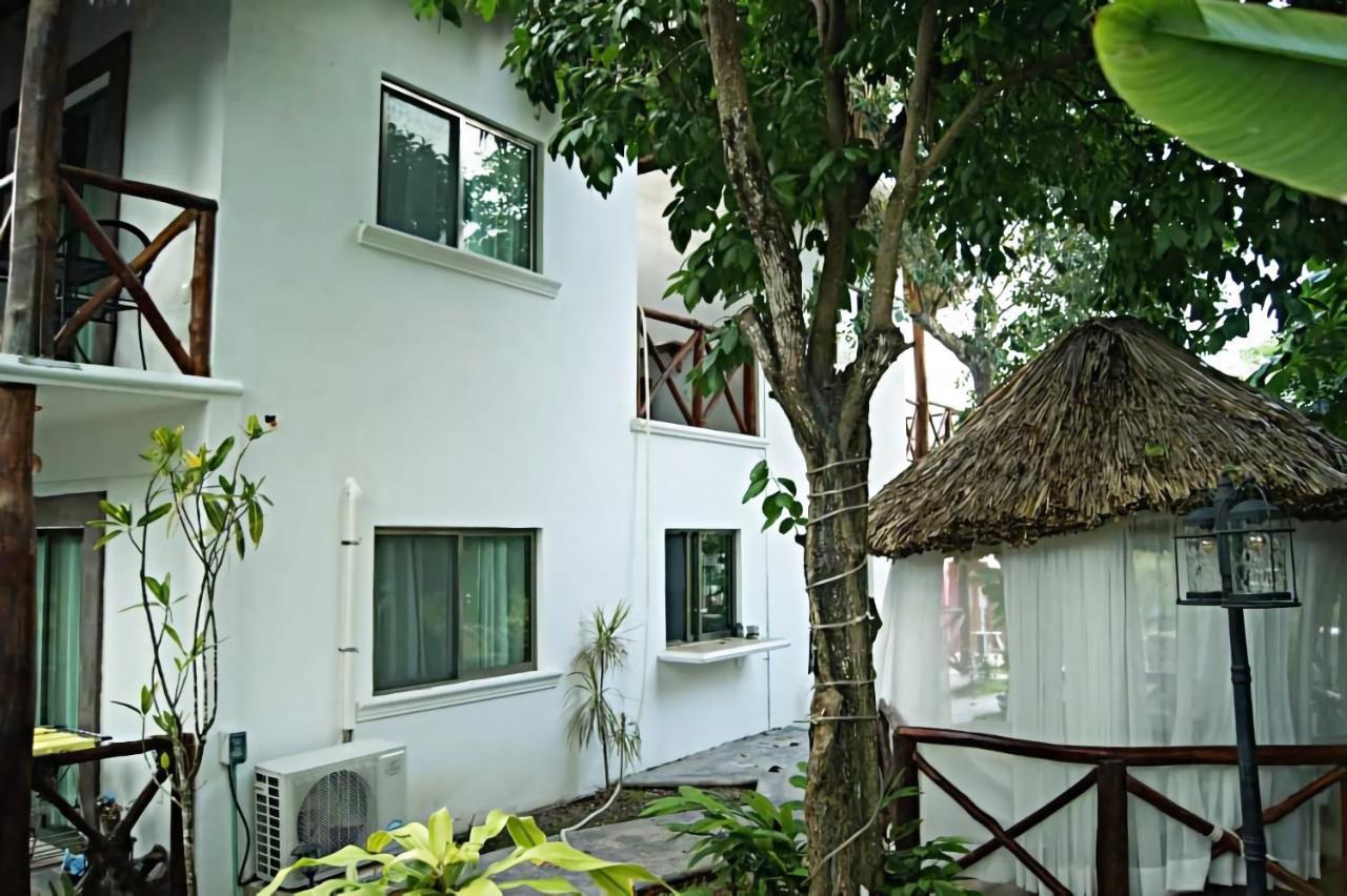 Pancho - Free Bikes And Paddles Hotel Bacalar