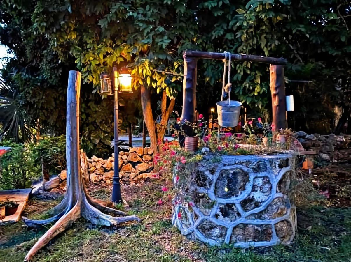 Pancho - Free Bikes And Paddles