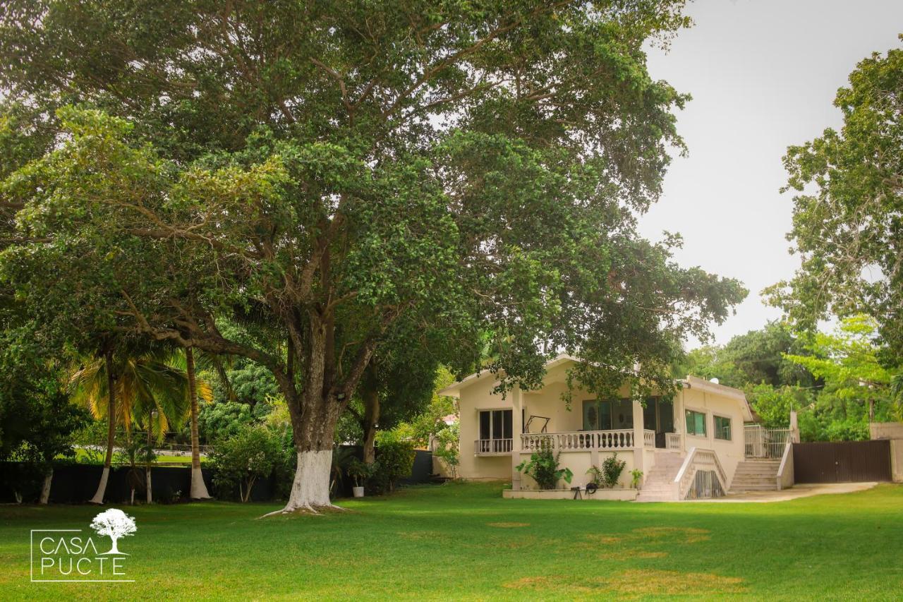 Casa Pucté Hotel