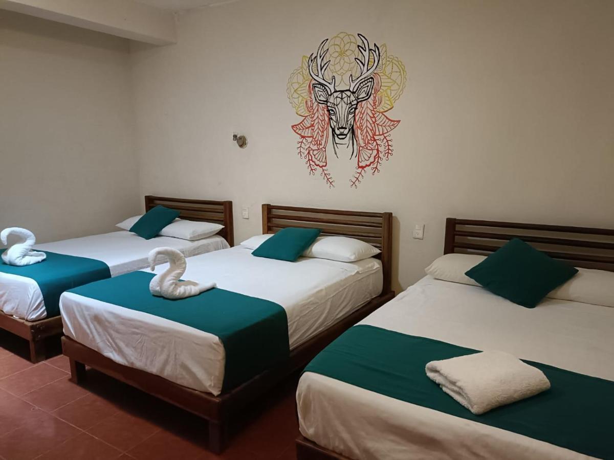 Hotel Mecate & Dorms 2*