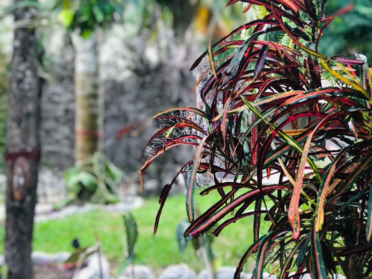 Hotel Tierra Maya Spa&sanctuary 3*