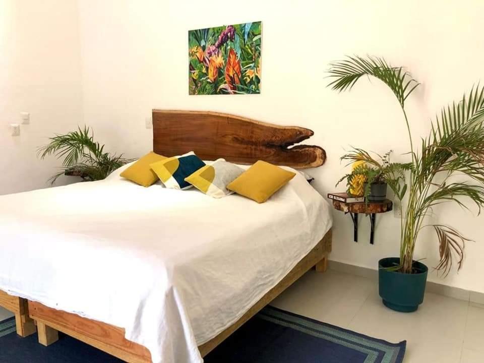 Hotel Chital