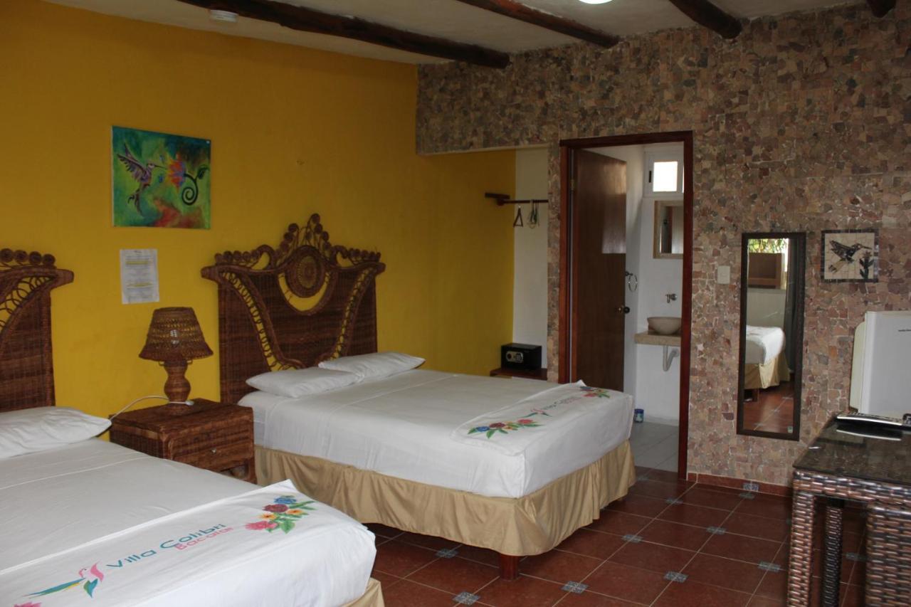 Colibrí 3*