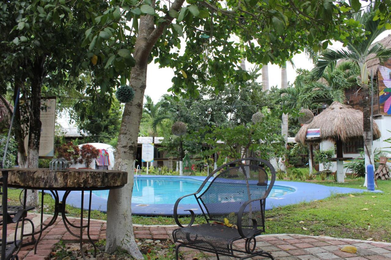 Colibrí 3*