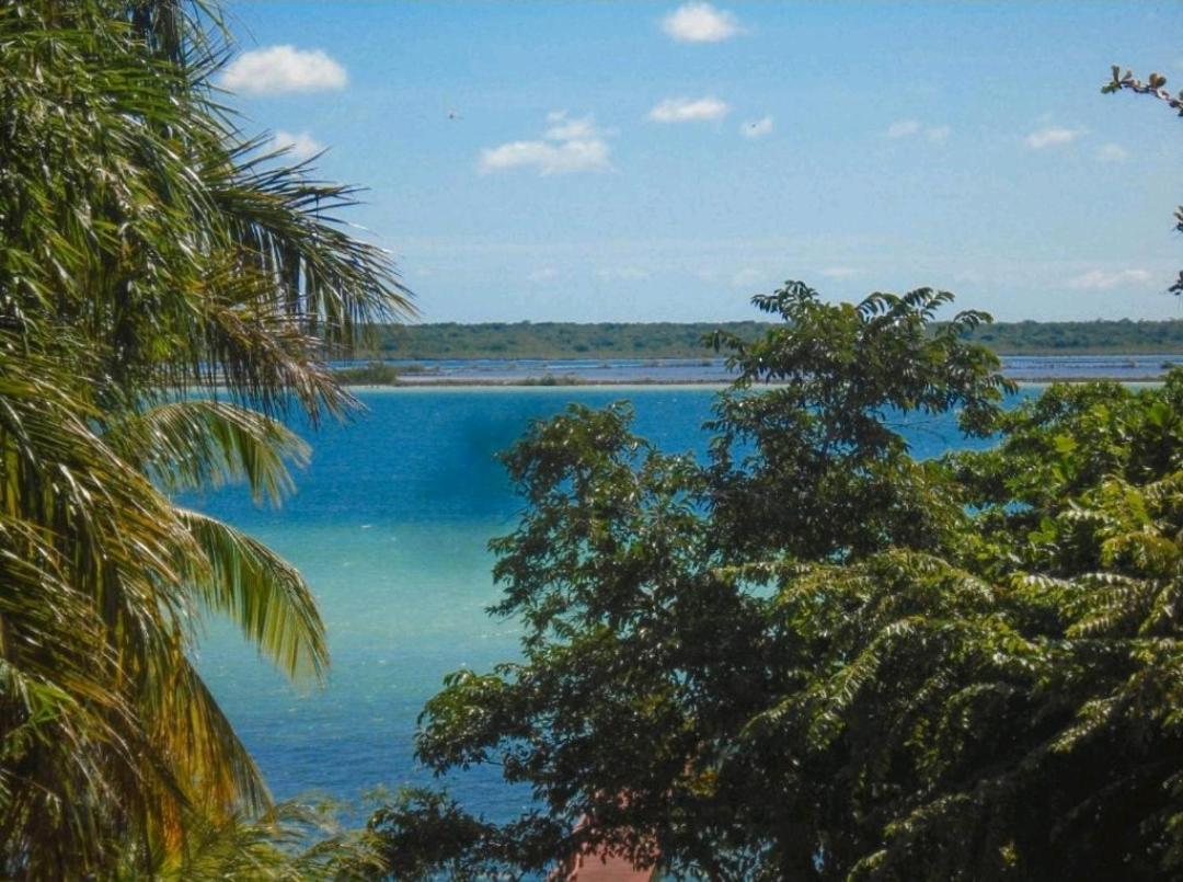 Maya Antes Navieros Pensión