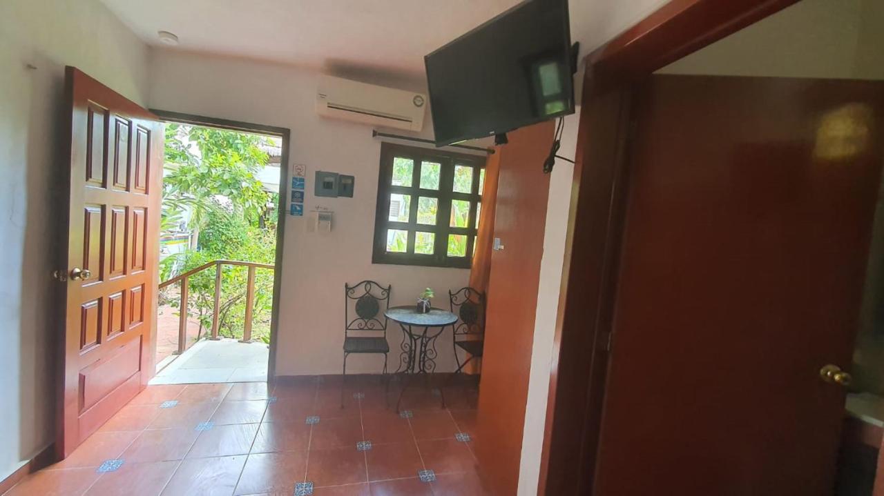 Colibrí 3*