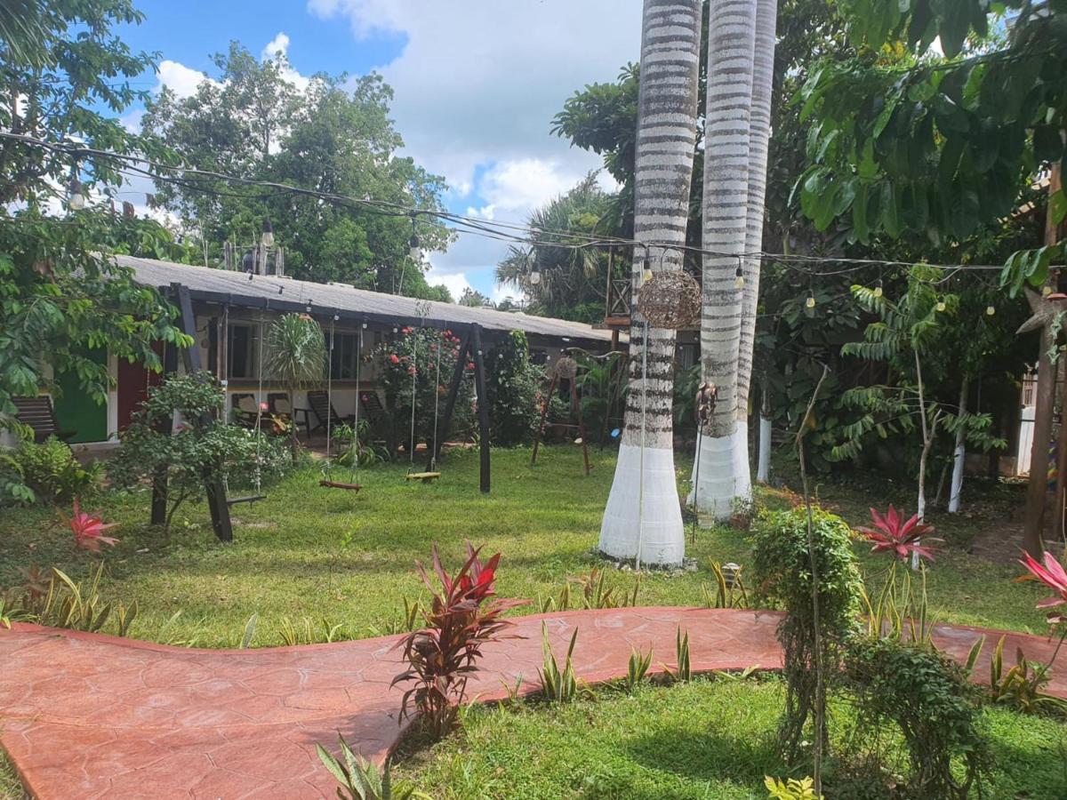 Colibrí 3*