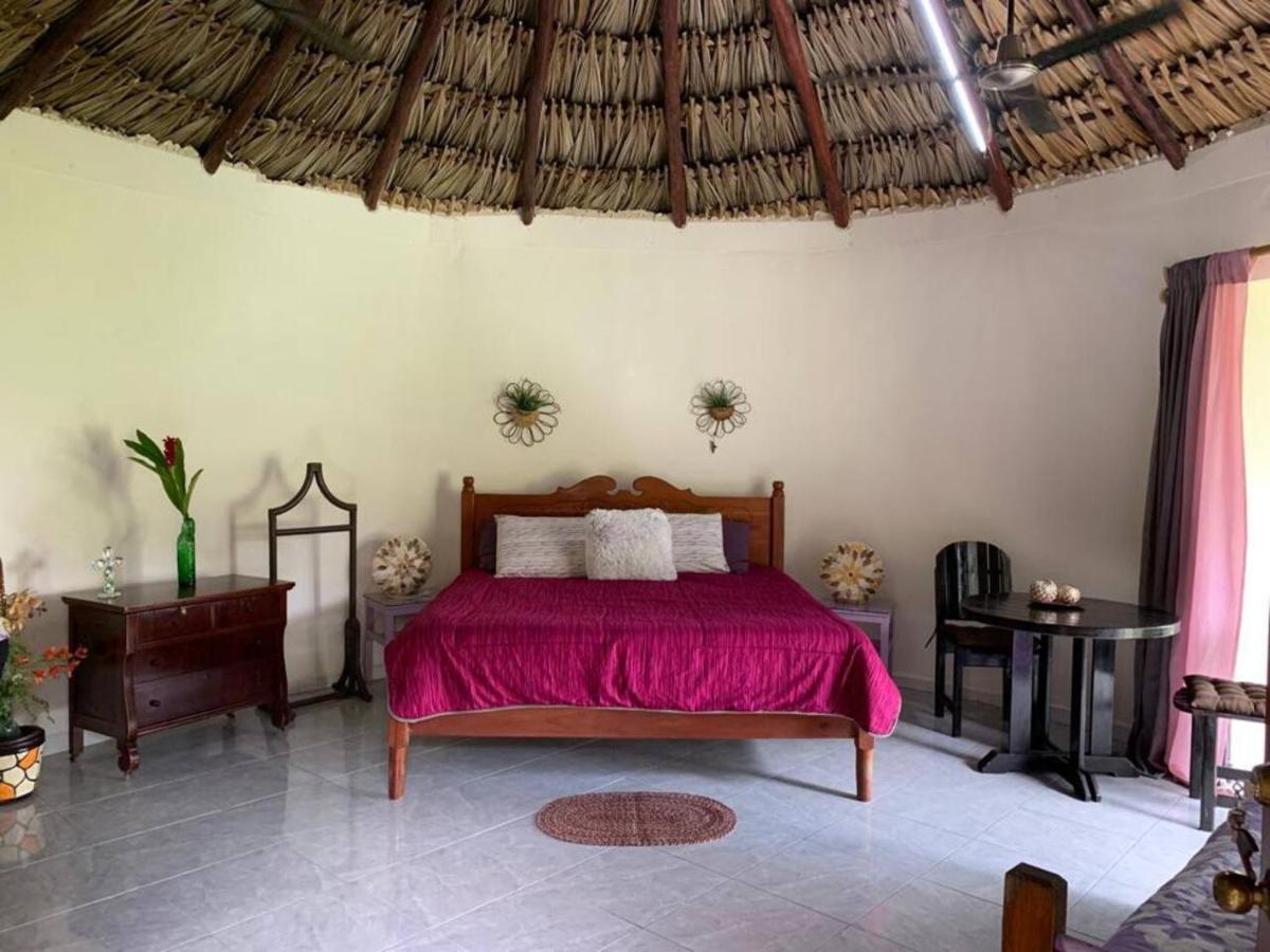 Apartment Casita Carolina