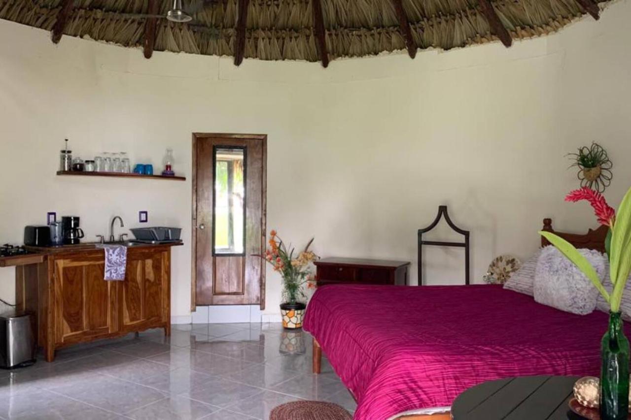 Casita Carolina Apartment *