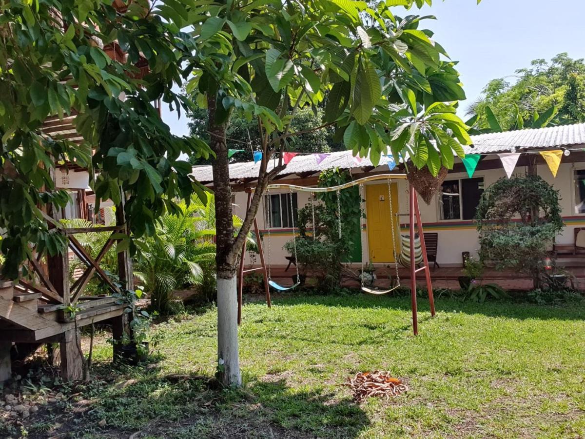 Colibrí 3*