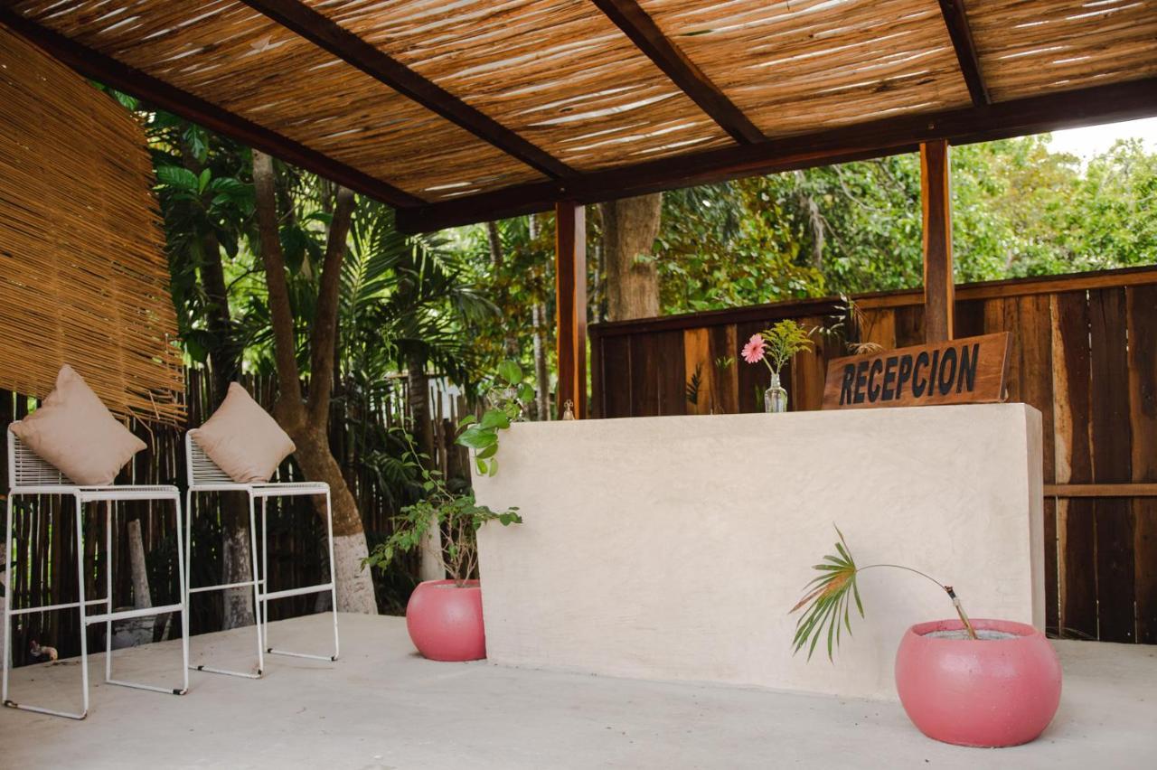 Bed and breakfast Selva Maya