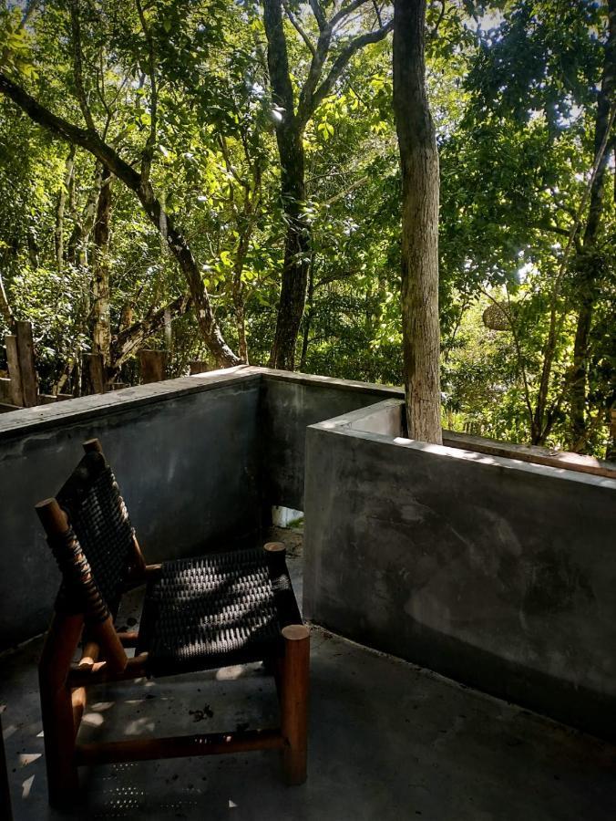 Casa Vive Bed & Breakfast